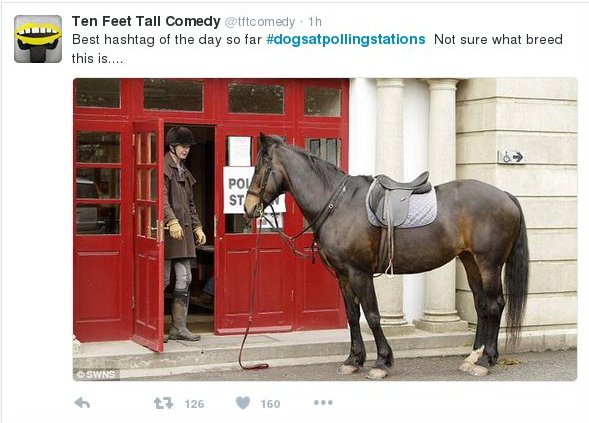 Οι Βρετανοί ψήφισαν μαζί με τα σκυλιά και τα άλογά τους -Φωτιά στο Twitter [εικόνες] | iefimerida.gr 6