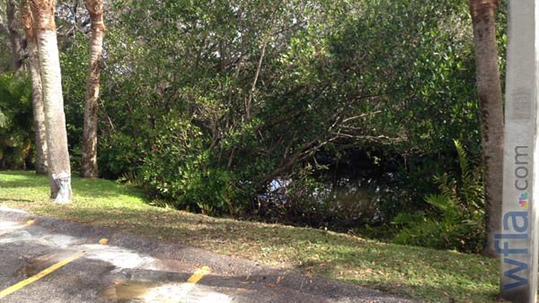 79χρονη σκότωσε τρία άτομα στην προσπάθειά της να ξεπαρκάρει [εικόνες] | iefimerida.gr 4