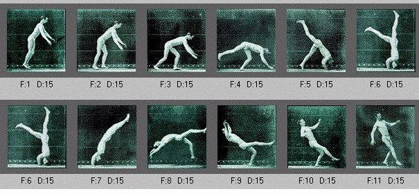 Πρώτο θέμα στο Twitter η «τούμπα» Καμμένου για τον Μουζάλα [εικόνες] | iefimerida.gr 4