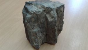 Βρέθηκε σε άριστη κατάσταση απολιθωμένο δάσος στη Ροδόπη [εικόνες]  | iefimerida.gr 1