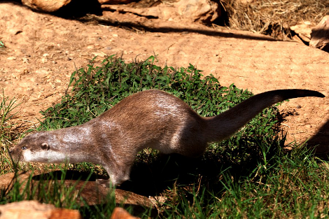 Κάποια Δάση έχουν τη δική τους Αύρα: Επιστροφή αγάπης στη φύση [εικόνες&βίντεο] | iefimerida.gr 1