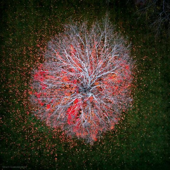 Αυτές είναι μερικές από τις ωραιότερες φωτογραφίες που έχουν τραβηχτεί από «Drone» [εικόνες] | iefimerida.gr 10