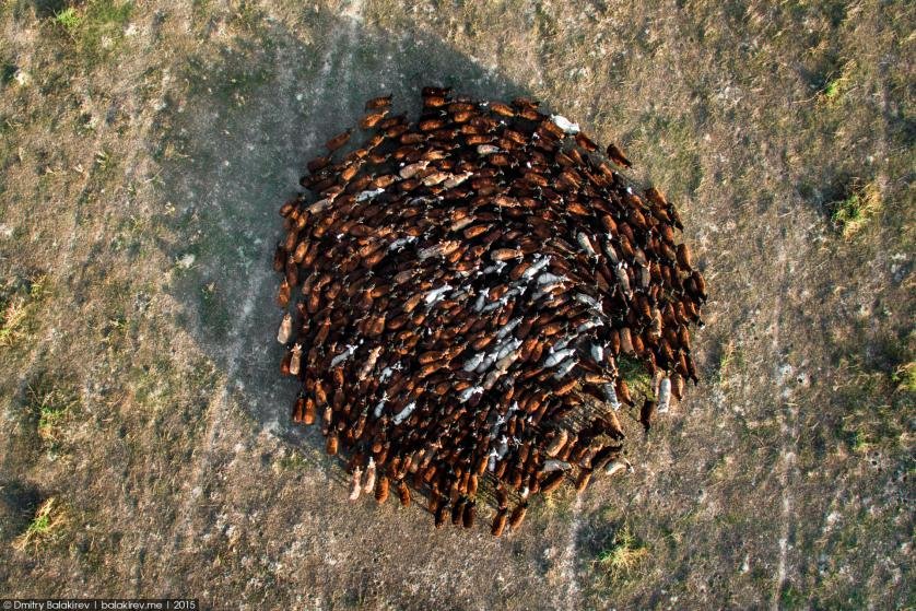 Αυτές είναι μερικές από τις ωραιότερες φωτογραφίες που έχουν τραβηχτεί από «Drone» [εικόνες] | iefimerida.gr 2