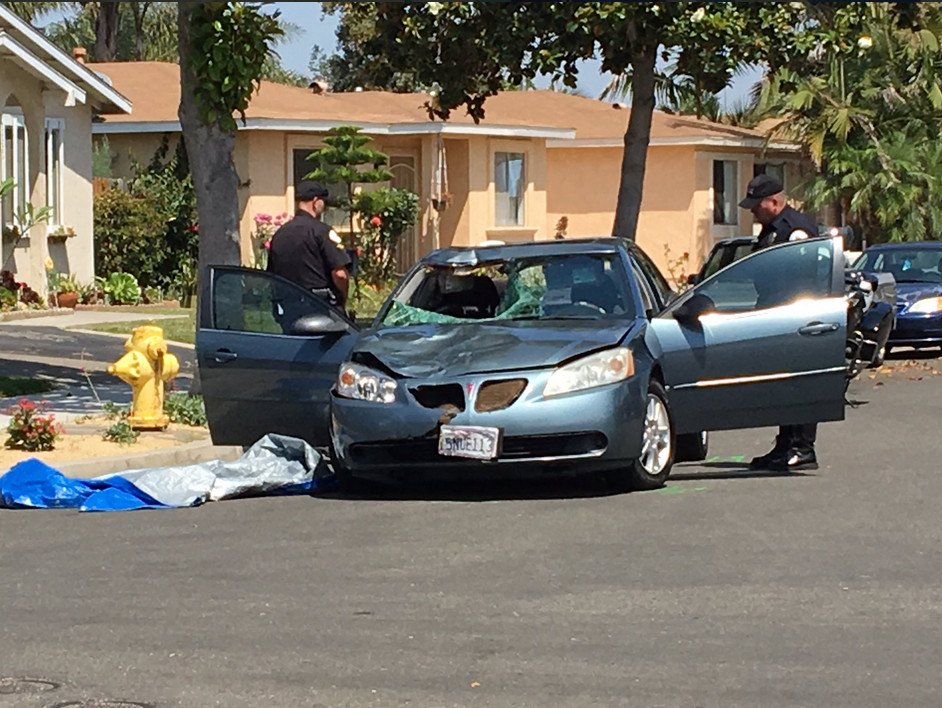Απίστευτο: 29χρονη σκότωσε πεζό και οδηγούσε με τη σορό του στο παρμπρίζ [εικόνες & βίντεο] | iefimerida.gr 0