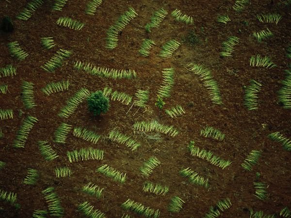 Ο κόσμος όπως δεν τον έχετε ξαναδεί - Η καθημερινότητα από άλλη οπτική γωνία [εικόνες] | iefimerida.gr 2