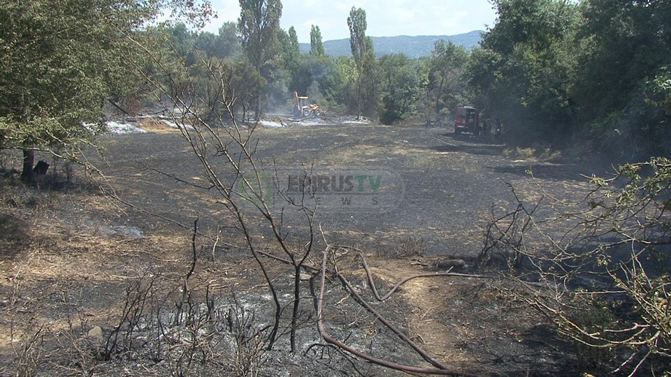 Ιωάνννινα: Φωτιά στη Βασιλική [βίντεο] | iefimerida.gr 2