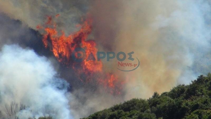 Κέρδισαν τη μάχη με τις φλόγες οι πυροσβέστες στη Μεσσηνία [εικόνες & βίντεο] | iefimerida.gr 0