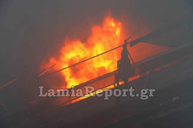 Πανικός στη Λαμία από φωτιά σε διαμέρισμα: Η ένοικος σώθηκε την τελευταία στιγμή [εικόνες & βίντεο] | iefimerida.gr 6