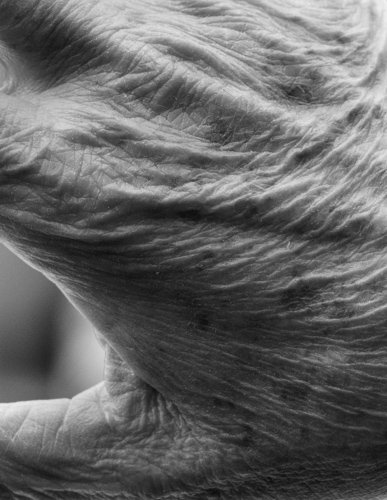 «Ψίθυροι»: Στο μουσείο Σύγχρονης Τέχνης Κρήτης [εικόνες]  | iefimerida.gr 0