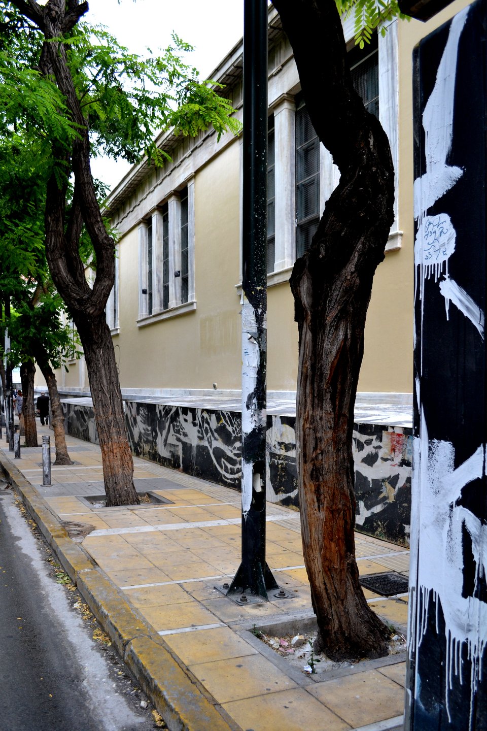 Επιχείρηση «καθαρό Πολυτεχνείο»: Εβγαλαν το γκράφιτι από το κτίριο αλλά όχι από τα δέντρα και τη στάση λεωφορείου [εικόνες] | iefimerida.gr 4