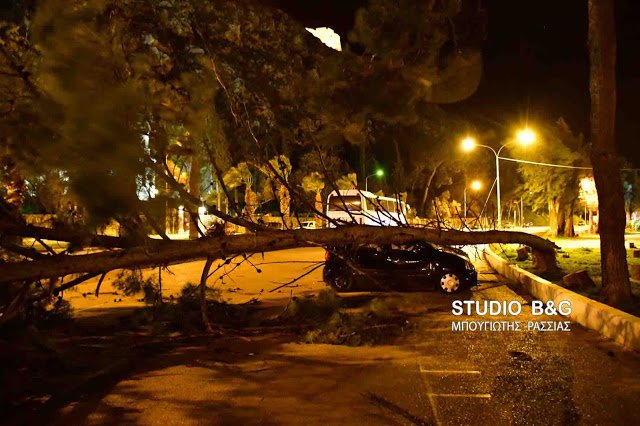 Θυελλώδεις άνεμοι στη χώρα -Ξερίζωσαν δέντρα, ξήλωσαν πλακάκια, καταστράφηκαν αυτοκίνητα [εικόνες & βίντεο] | iefimerida.gr 21
