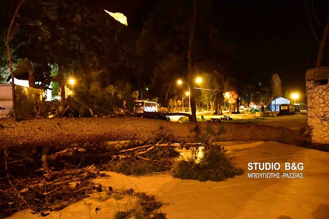 Θυελλώδεις άνεμοι στη χώρα -Ξερίζωσαν δέντρα, ξήλωσαν πλακάκια, καταστράφηκαν αυτοκίνητα [εικόνες & βίντεο] | iefimerida.gr 14