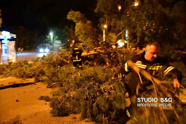 Θυελλώδεις άνεμοι στη χώρα -Ξερίζωσαν δέντρα, ξήλωσαν πλακάκια, καταστράφηκαν αυτοκίνητα [εικόνες & βίντεο] | iefimerida.gr 18