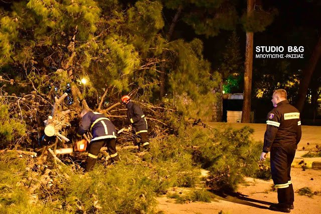 Θυελλώδεις άνεμοι στη χώρα -Ξερίζωσαν δέντρα, ξήλωσαν πλακάκια, καταστράφηκαν αυτοκίνητα [εικόνες & βίντεο] | iefimerida.gr 20