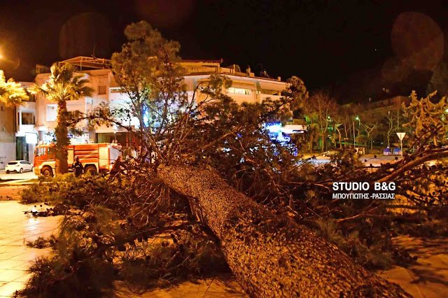 Θυελλώδεις άνεμοι στη χώρα -Ξερίζωσαν δέντρα, ξήλωσαν πλακάκια, καταστράφηκαν αυτοκίνητα [εικόνες & βίντεο] | iefimerida.gr 19