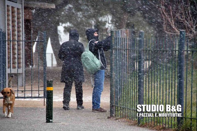 Σπάνιο θέαμα: Ο αρχαιολογικός χώρος των μυθικών Μυκηνών καλυμμένος από χιόνι! [εικόνες & βίντεο] | iefimerida.gr 4