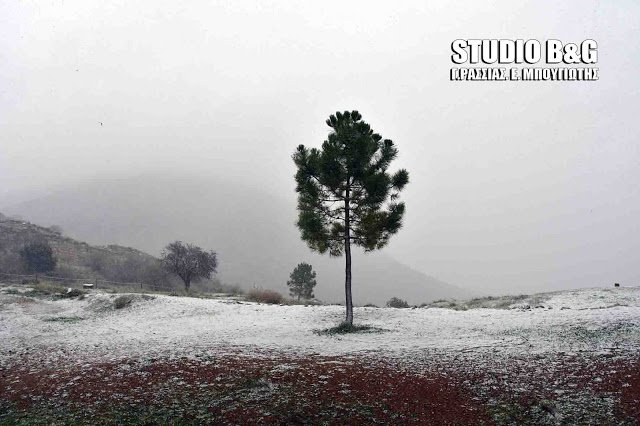 Σπάνιο θέαμα: Ο αρχαιολογικός χώρος των μυθικών Μυκηνών καλυμμένος από χιόνι! [εικόνες & βίντεο] | iefimerida.gr 6