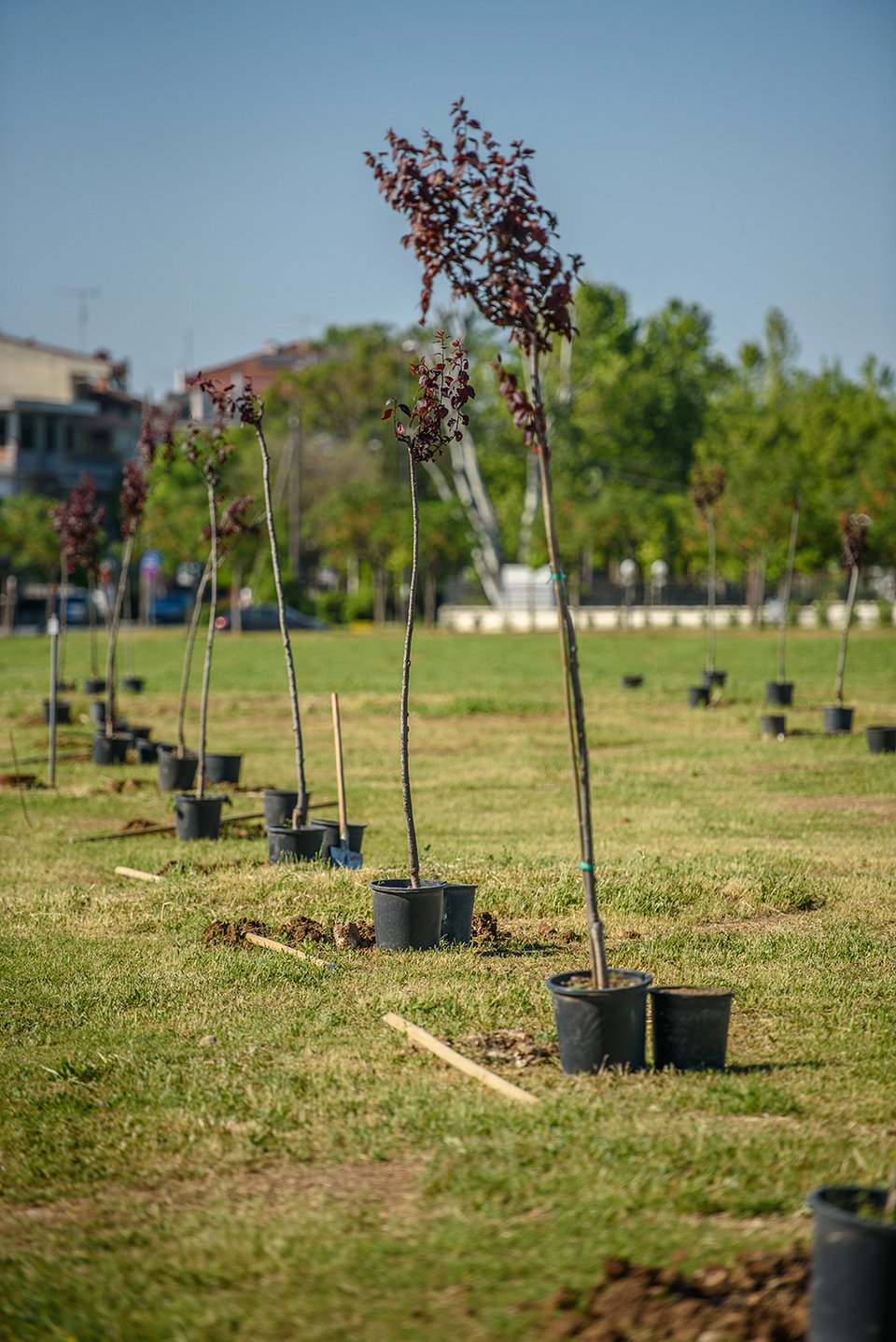 «ΟΛΥ εν δράσει» τιμώντας την ημέρα της Γης με ένα νέο Πάρκο [εικόνες] | iefimerida.gr 4
