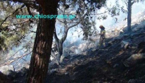 Τραγωδία στη Χίο – ΚΤΕΛ έπεσε σε χαράδρα - Τρεις νεκροί [βίντεο & εικόνες] | iefimerida.gr 1