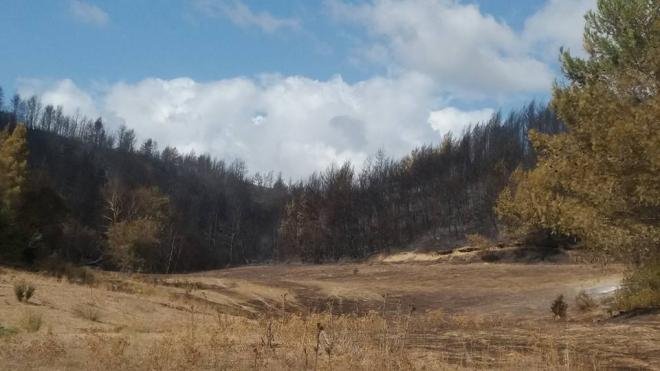 Δυτική Αχαΐα: Συνεχείς οι αναζωπυρώσεις -Δεν έχει απομακρυνθεί ο κίνδυνος [εικόνες] | iefimerida.gr 1