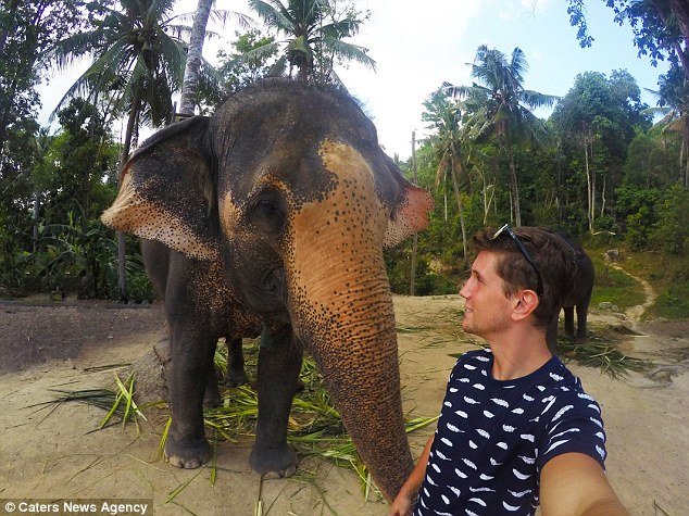 «Elphie» - Μικρός ελέφαντας άρπαξε την κάμερα τουρίστα και έβγαλε selfie [εικόνες] | iefimerida.gr 1