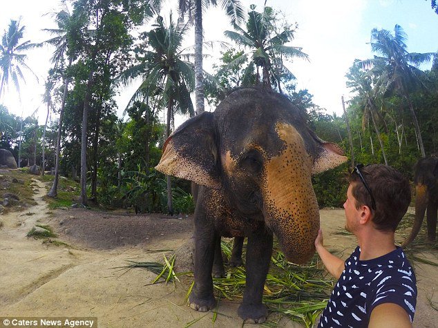 «Elphie» - Μικρός ελέφαντας άρπαξε την κάμερα τουρίστα και έβγαλε selfie [εικόνες] | iefimerida.gr 2