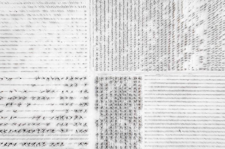 Θέα από ψηλά -Εκπληκτικές αεροφωτογραφίες που κάνουν τη Γη να μοιάζει με ζωγραφιά [εικόνες] | iefimerida.gr 2