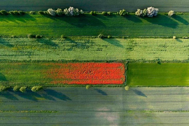 Θέα από ψηλά -Εκπληκτικές αεροφωτογραφίες που κάνουν τη Γη να μοιάζει με ζωγραφιά [εικόνες] | iefimerida.gr 8