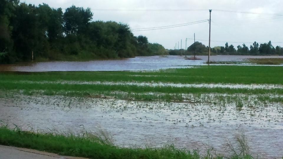 Μεγάλες καταστροφές στην Δυτική Αχαΐα - Να κηρυχθεί σε κατάσταση ανάγκης η περιοχή ζητά ο δήμος [εικόνες] | iefimerida.gr 1