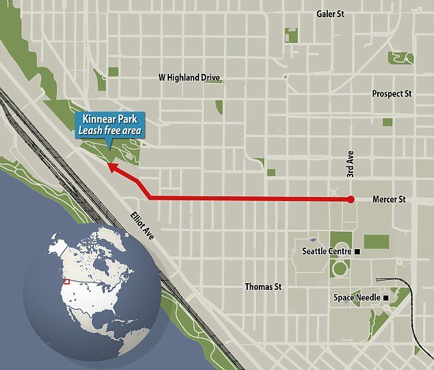 Το μαύρο λαμπραντόρ που παίρνει μόνο του το λεωφορείο για το πάρκο [εικόνες] | iefimerida.gr 1