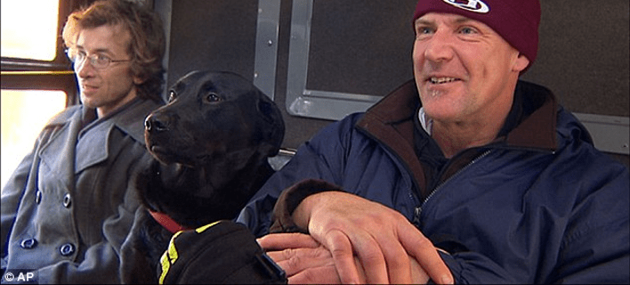 Το μαύρο λαμπραντόρ που παίρνει μόνο του το λεωφορείο για το πάρκο [εικόνες] | iefimerida.gr 2