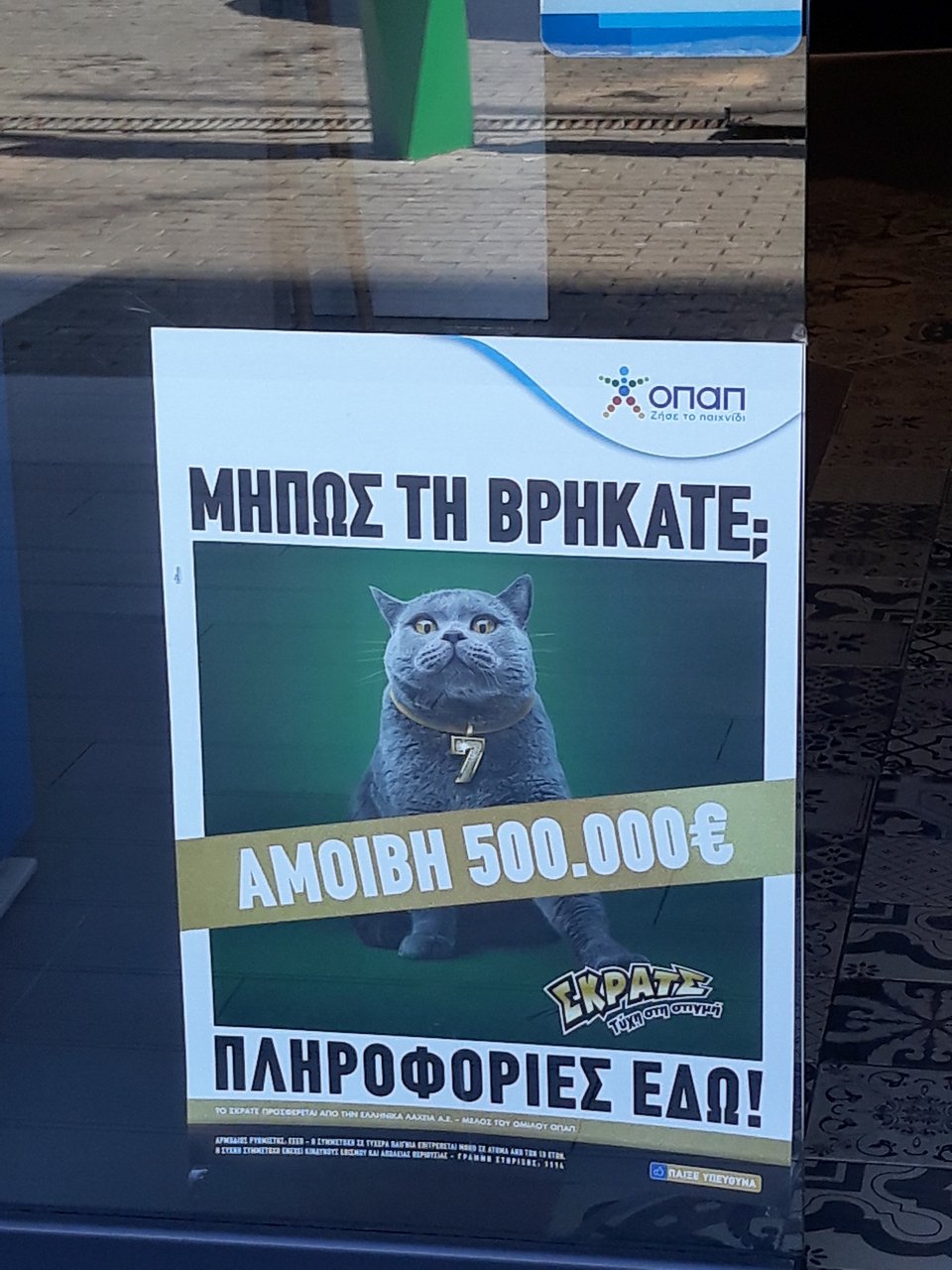 Αμοιβή 500.000 ευρώ σε όποιον πιάσει την πιο... τυχερή γάτα [εικόνες] | iefimerida.gr 0