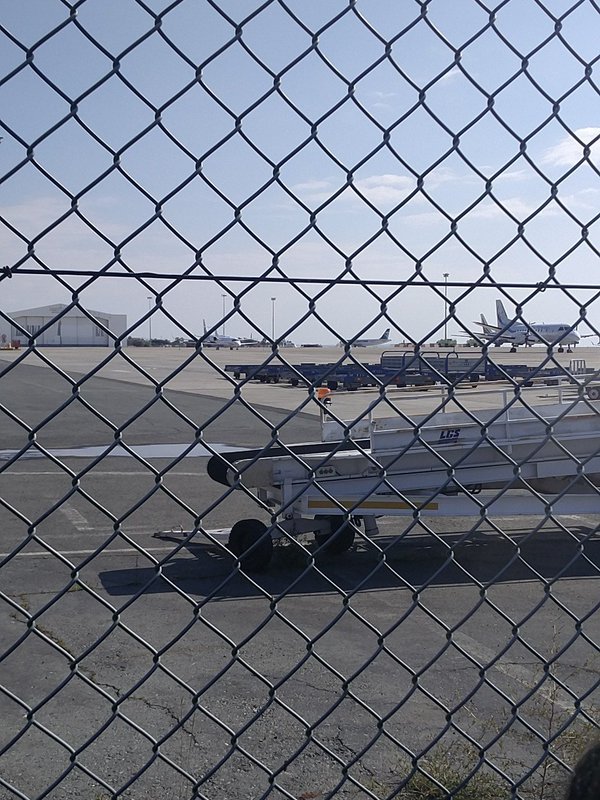 Αεροπειρατεία στην Κύπρο: Καρέ-καρέ η αποβίβαση των επιβατών από το αεροσκάφος της Egypt Air [εικόνες] | iefimerida.gr 1