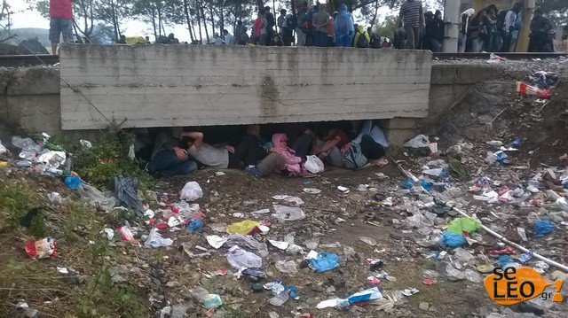 Εκρυθμη η κατάσταση στα Ελληνοσκοπιανά σύνορα: Χιλιάδες οι μετανάστες που περιμένουν... [εικόνες] | iefimerida.gr 2