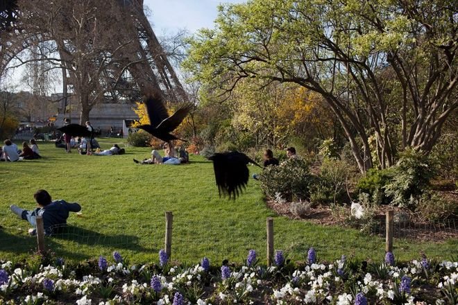 Ο Πύργος του Άιφελ έτσι όπως δεν τον έχετε ξαναδεί -Συμπληρώνει 125 χρόνια «ζωής» [εικόνες] | iefimerida.gr 7