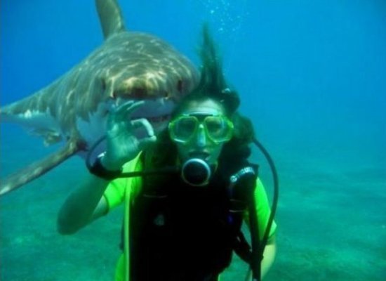 Όταν τα ζώα «καταστρέφουν» μία ωραία φωτογραφία... | iefimerida.gr 5