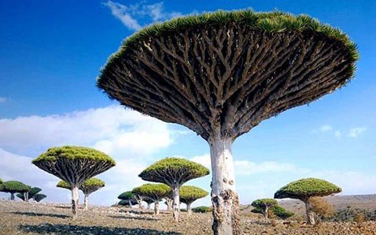 Το «νησί της ευδαιμονίας»: Το πιο εξωγήινο μέρος του πλανήτη  [εικόνες]   | iefimerida.gr 3