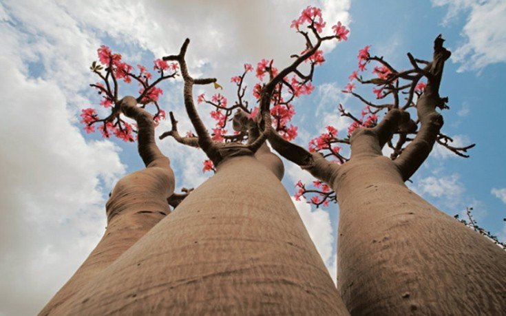 Το «νησί της ευδαιμονίας»: Το πιο εξωγήινο μέρος του πλανήτη  [εικόνες]   | iefimerida.gr 5