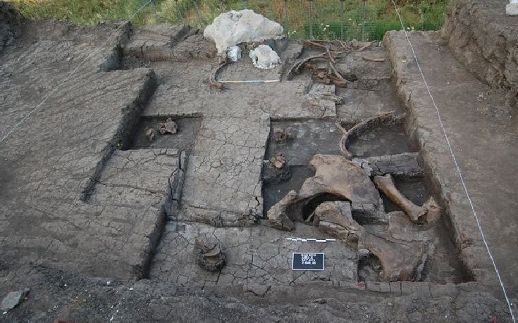 Απίστευτο: Ανακάλυψαν στην Αρκαδία το μοναδικό υπαίθριο σφαγείο ελεφάντων ηλικίας 600.000 ετών [εικόνες]  | iefimerida.gr 1