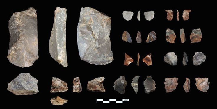 Απίστευτο: Ανακάλυψαν στην Αρκαδία το μοναδικό υπαίθριο σφαγείο ελεφάντων ηλικίας 600.000 ετών [εικόνες]  | iefimerida.gr 0