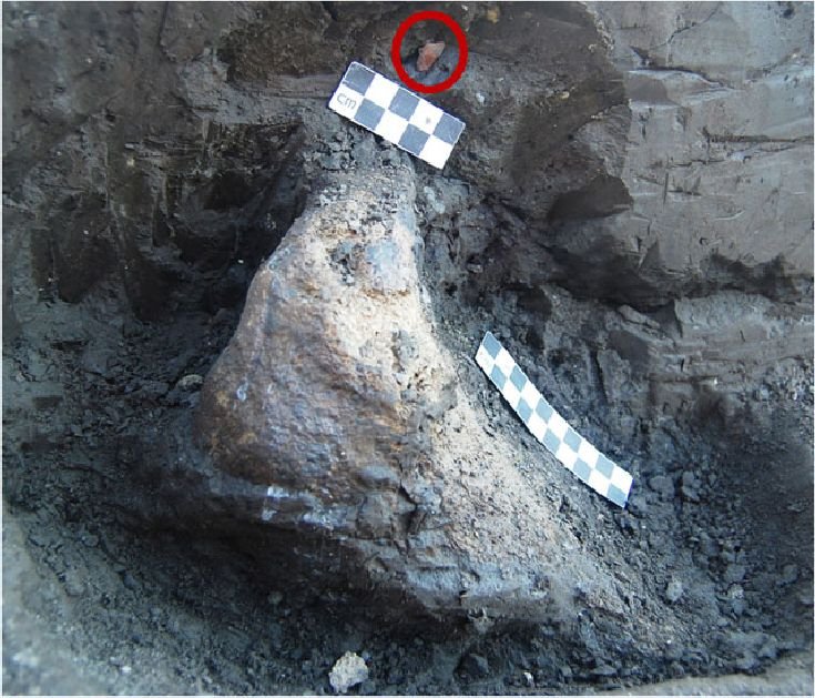 Απίστευτο: Ανακάλυψαν στην Αρκαδία το μοναδικό υπαίθριο σφαγείο ελεφάντων ηλικίας 600.000 ετών [εικόνες]  | iefimerida.gr 3