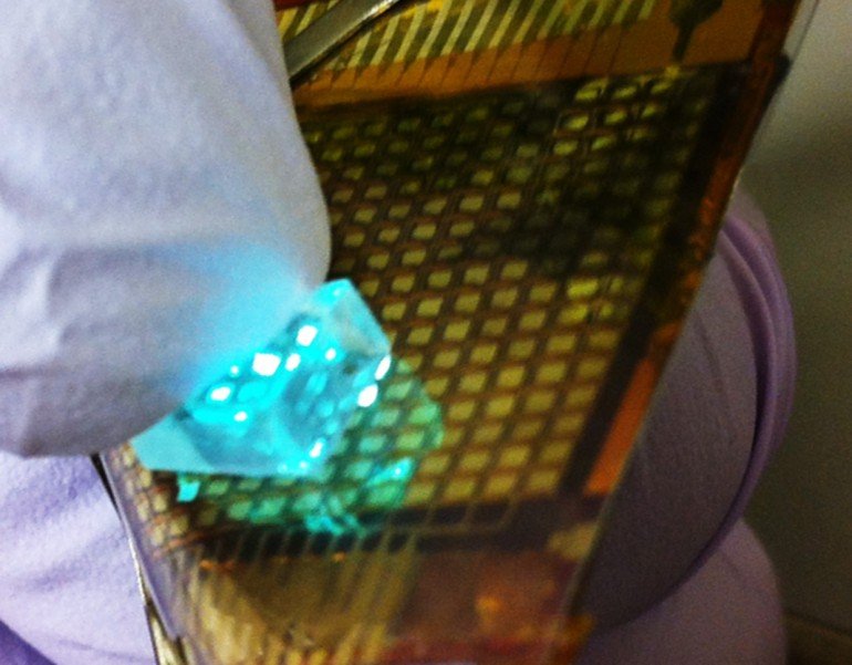 Ηλεκτρονικό δέρμα αποκαθιστά την αίσθηση της αφής [εικόνες & βίντεο] | iefimerida.gr 1