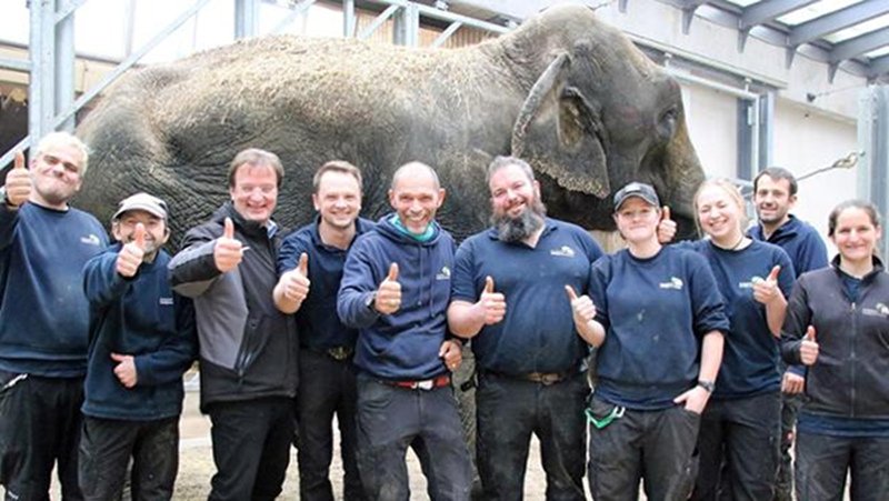 Γερμανία: Διάσωση ελεφαντίνας που σφήνωσε σε μεταλλικές ράβδους [εικόνες] | iefimerida.gr 3