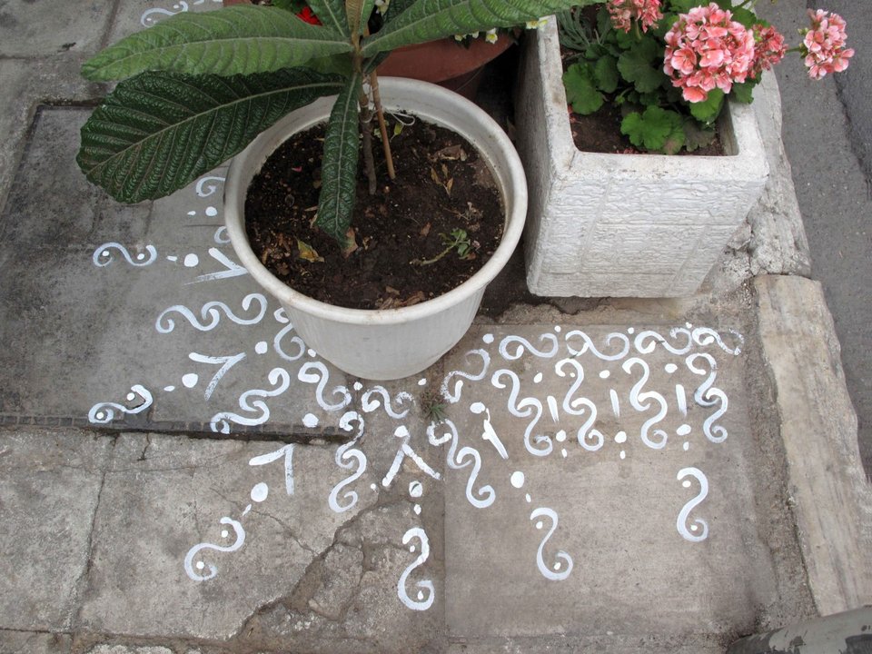 Διαδραστική έκθεση στην Ελευσίνα -Οι κάτοικοι προσφέρουν από μία γλάστρα για την κοινή αυλή [εικόνες] | iefimerida.gr 0