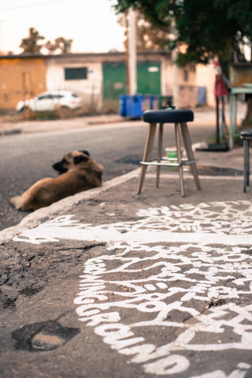 Διαδραστική έκθεση στην Ελευσίνα -Οι κάτοικοι προσφέρουν από μία γλάστρα για την κοινή αυλή [εικόνες] | iefimerida.gr 2