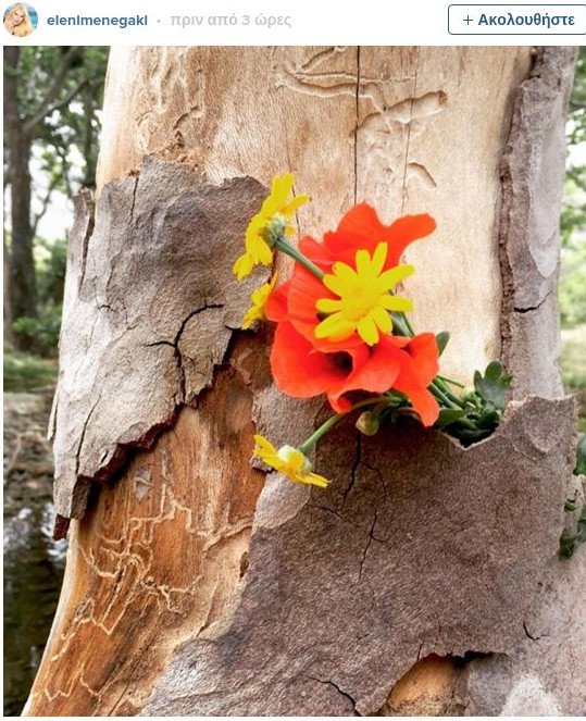 Μενεγάκη: Το Σαββατοκύριακο στην Ανδρο -Παιχνίδια με τον φακό[εικόνες]  | iefimerida.gr 1