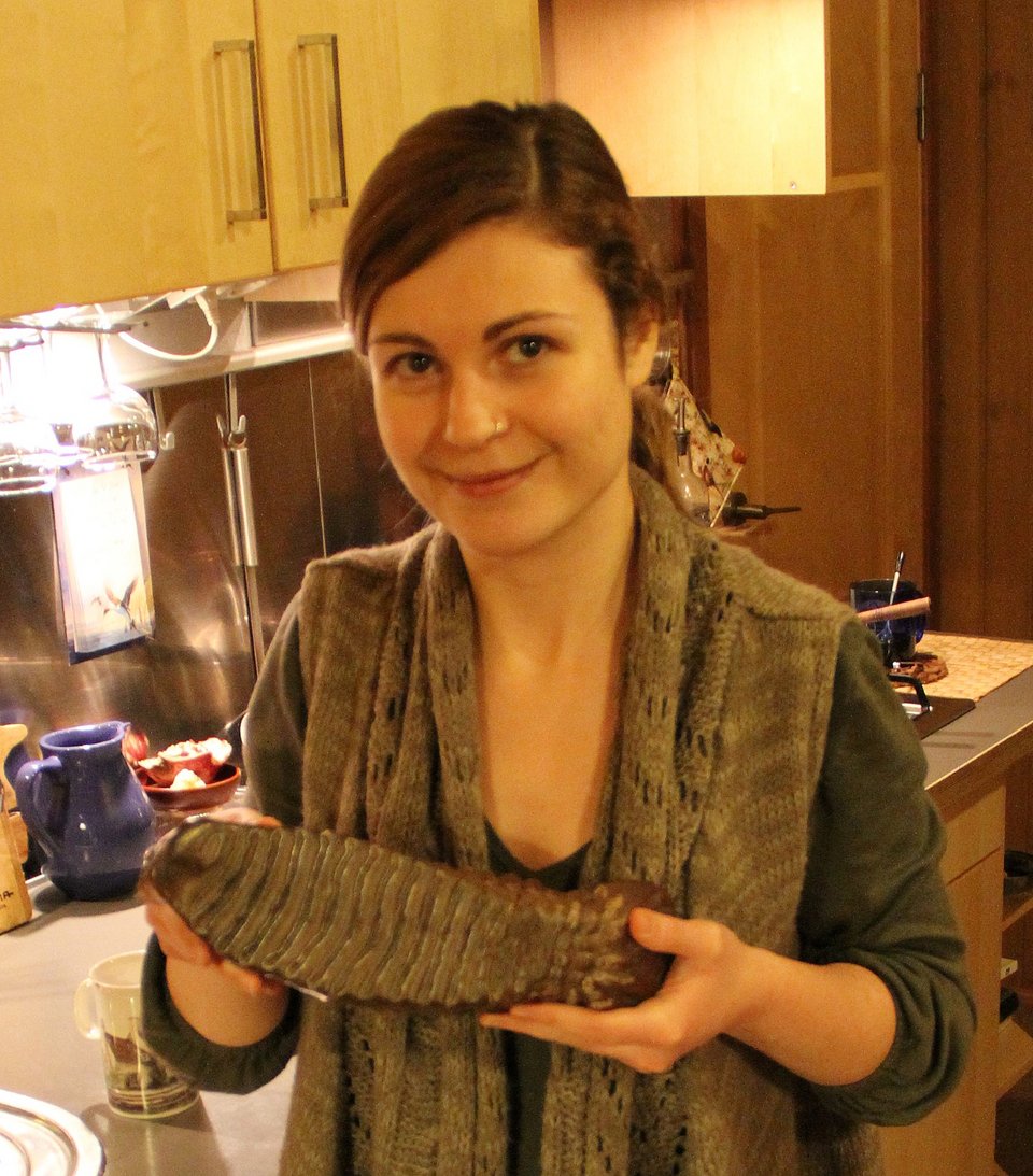 Η Ελληνίδα ερευνήτρια που μελετά τα μαμούθ και κάνει μεταδιδακτορικό στο Χάρβαρντ [εικόνες] | iefimerida.gr 1