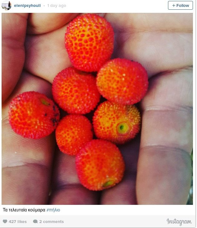 Η αποτοξίνωση της Ελένης Ψυχούλη μετά τα Χριστούγεννα [εικόνες] | iefimerida.gr 2