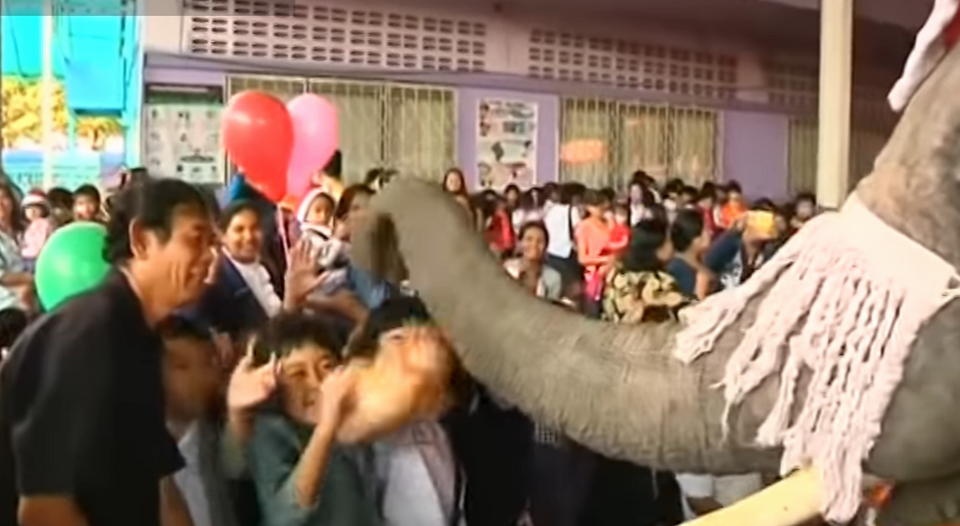 Στην Ταϊλάνδη ο Αγιος Βασίλης δεν πάει με τάρανδους, αλλά με ελέφαντες [εικόνες] | iefimerida.gr 2