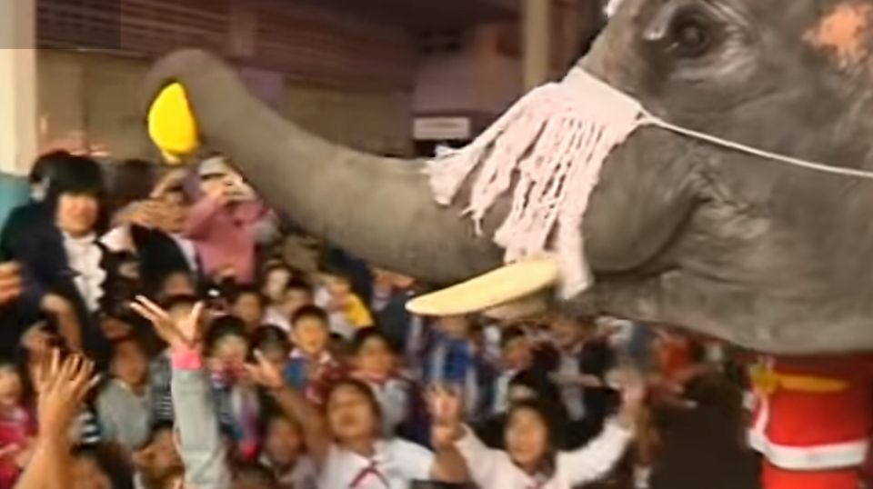 Στην Ταϊλάνδη ο Αγιος Βασίλης δεν πάει με τάρανδους, αλλά με ελέφαντες [εικόνες] | iefimerida.gr 1